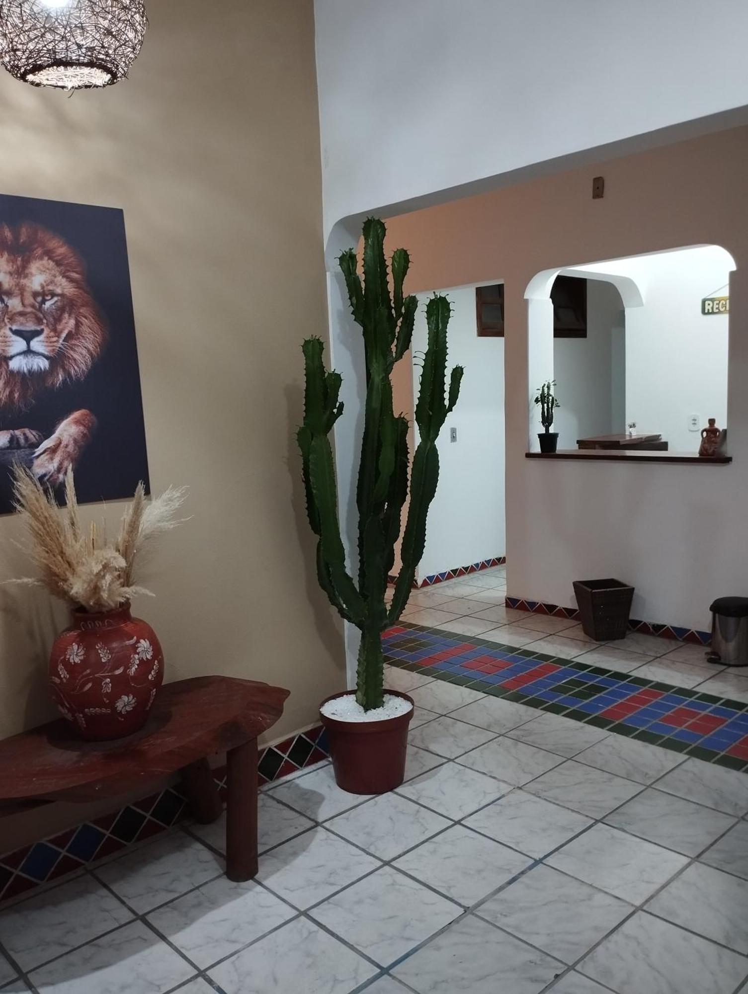 Pousada Ray Sol - Centro Arraial D Ajuda Porto Seguro Eksteriør billede